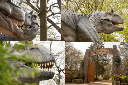 The UK’s SCARIEST Dinosaur arrives this Easter…the INDOMINUS REX!